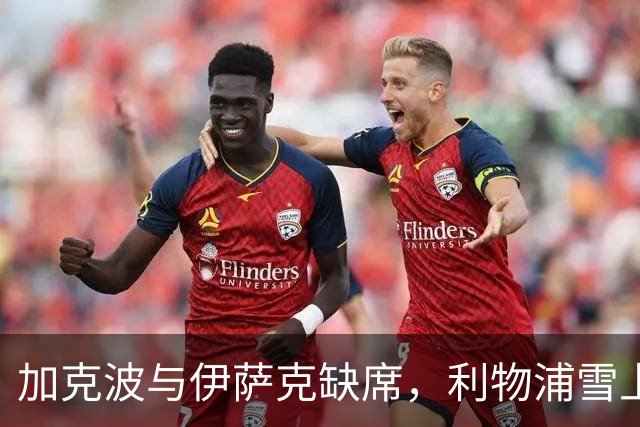 加克波与伊萨克缺席，利物浦雪上加霜！